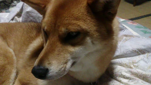 努力賞＼(^^)／の記事動画