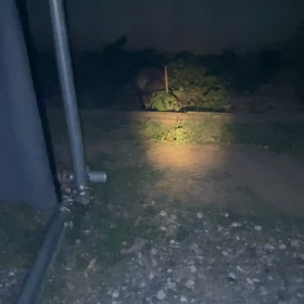 ６月の画像