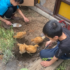 ６月の画像