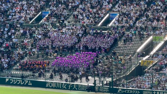夏の甲子園（高校野球） 8/18の記事動画