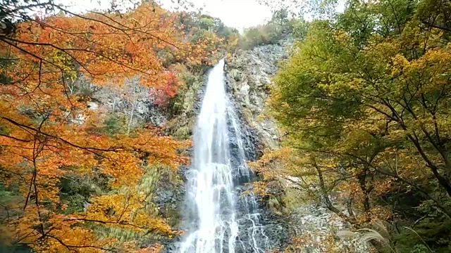 マイナスイオンシャワーな天滝ハイキング♪の記事動画