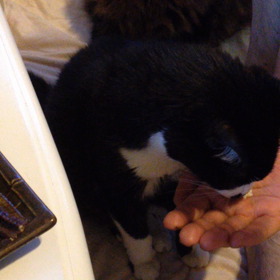 美味しいの画像