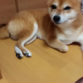 6月21日(火)晴れ　近づいたり離れたり。の画像