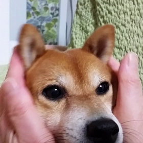 エイジングケア!!!の画像