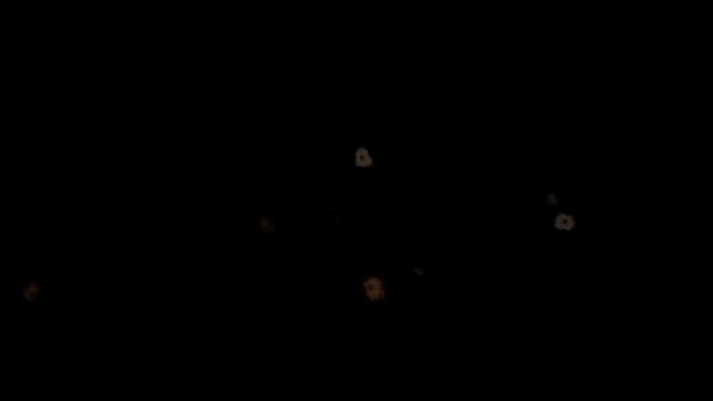 バチバチ君ブログ♪の記事動画