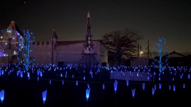 2024/11/24の記事動画