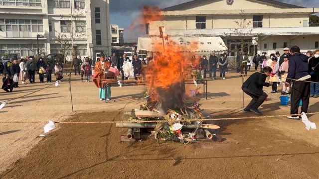 2025/01/12の記事動画