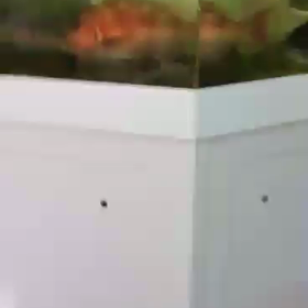 貴重な映像です！サメ(フカ)の激しい動きの排泄の画像