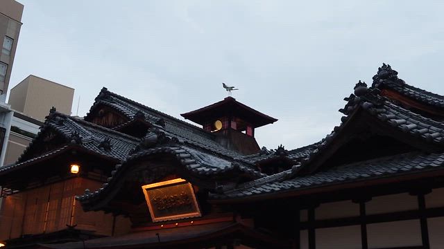 道後温泉本館①の記事動画