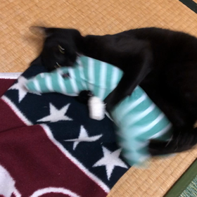 ケリケリの画像