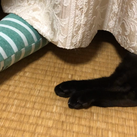 ジジ釣りの画像