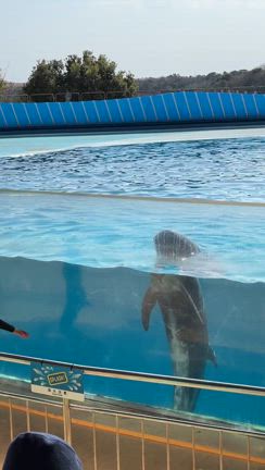 【家族】父70歳！お祝いの家族旅行でハプニング！の記事動画