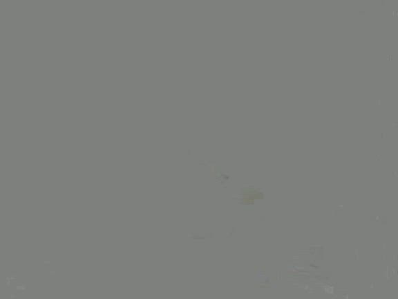大人になってからぶら下がることある？の記事動画
