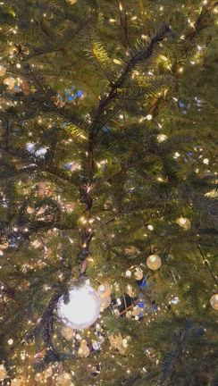 明日から12月❗️の記事動画