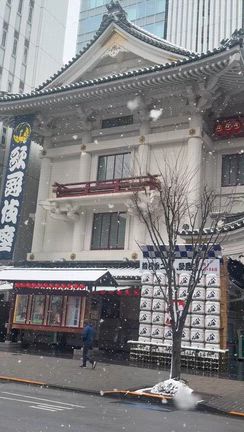 午前中は雪でしたぁ〜❗️の記事動画
