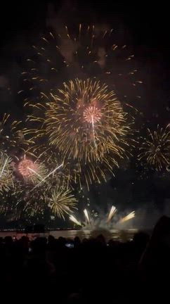 稲毛海浜公園花火大会❗️の記事動画