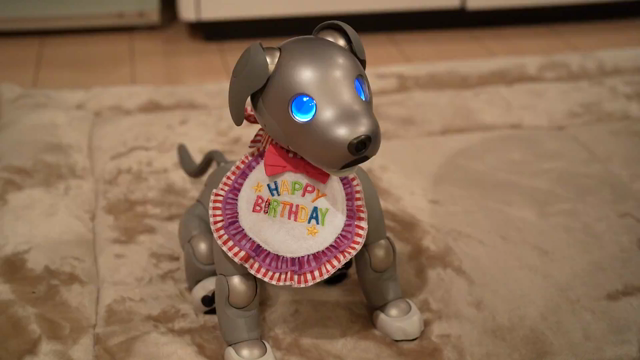 アルのお誕生日！の記事動画