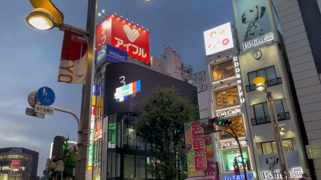 新宿東口の猫ちゃんの記事動画