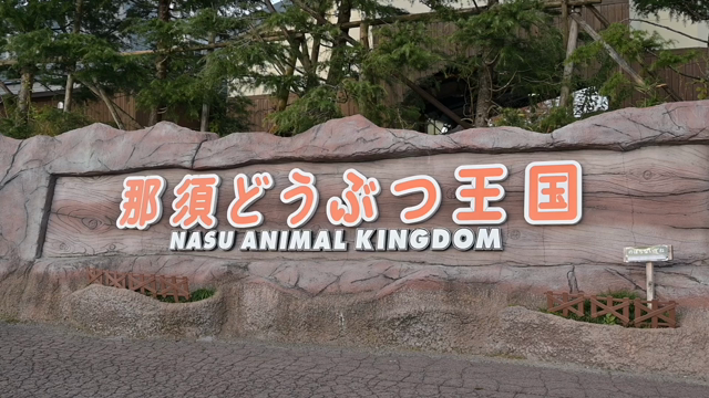 那須どうぶつ王国の記事動画