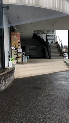 【御礼】まりえラーメンの記事動画