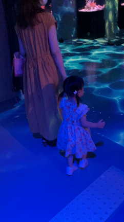 水族館をハシゴ。の記事動画