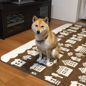 ヤムヤムの画像