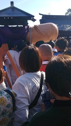 田縣神社　豊年祭の記事動画