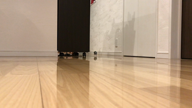 今日は何の日？っふっふ〜の記事動画