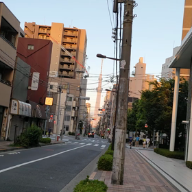 犬、15才8ヵ月の様子の画像