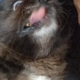 狂気の画像