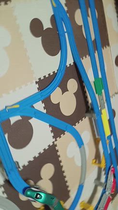 写真で振り返る2024年の夏休みの記事動画