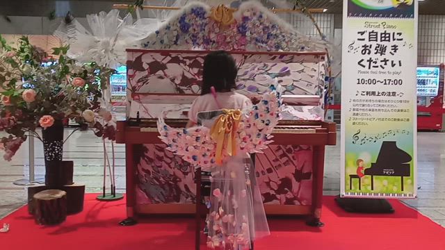 日能研に通う姉妹のGW[追々記/改題]の記事動画
