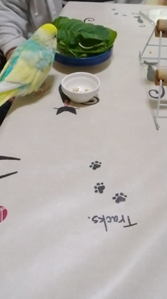 【月刊ひなたちゃん】１月号　寒いねひなたちゃんの記事動画