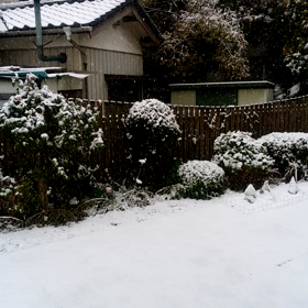 雪が!の画像