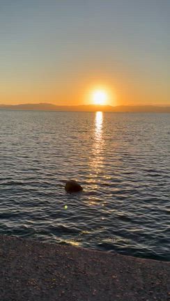 鹿児島の旅④渋すぎたね「九州八十八湯めぐり♨︎江之島温泉共同浴場」の記事動画