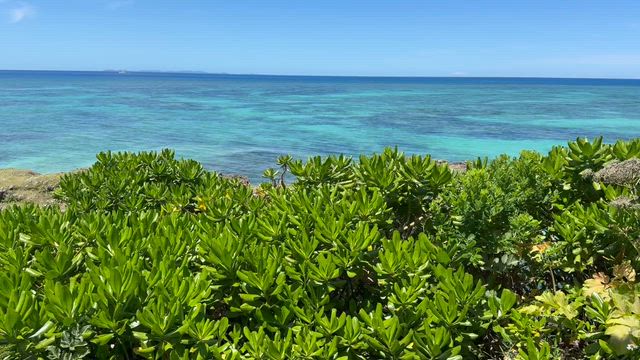 梅雨の中休みに夏色の海を垣間見ての記事動画