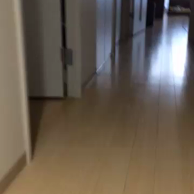 恒例のの画像