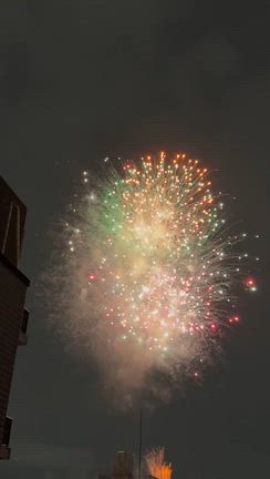 越谷と隅田川花火！の巻の記事動画