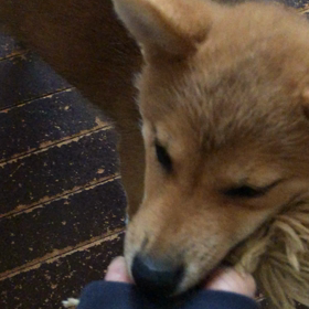 背が伸びた。の画像