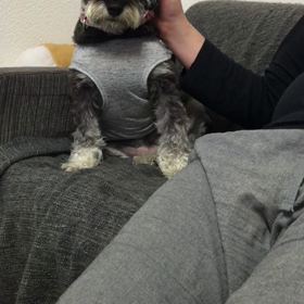 ふたりのやりとりの画像