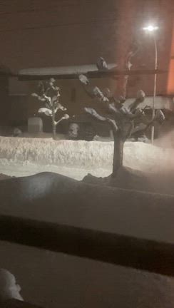 【除雪】凍結でお湯出ない、とあとにしたほうがいいよ〜」の除雪の記事動画