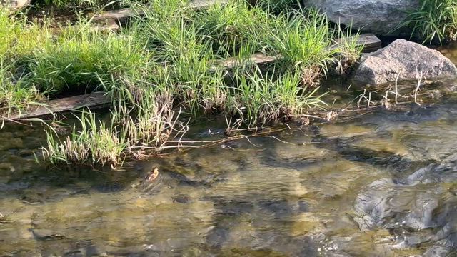 海外旅ラン　ソウルの街並みの記事動画