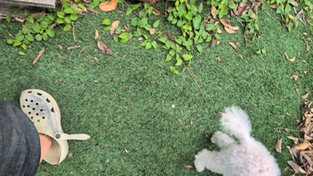 また、病院に行ってきたの記事動画