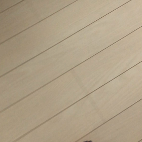 トリックトレーニングの画像