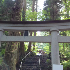 自然の中の画像