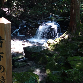 夏。の画像