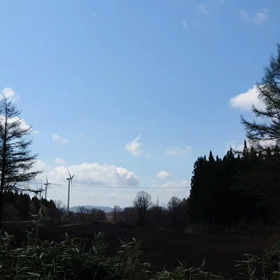 風が強いので。の画像