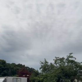 2024/07/09の画像