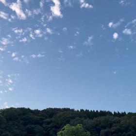 2024/07/23の画像