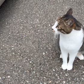 2024/07/14の画像